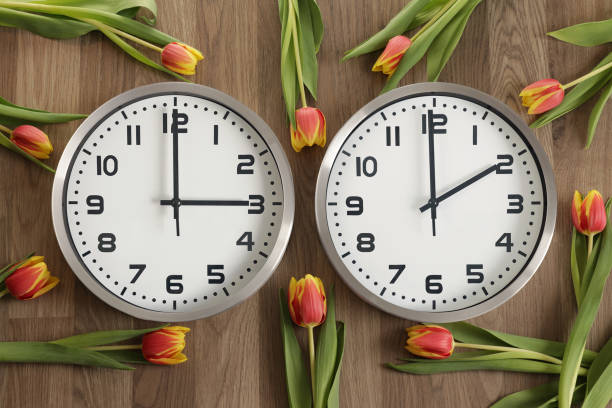 pour les lecteurs de droite à gauche : deux horloges, l’une indiquant deux heures, l’autre trois heures. les tulipes traînent autour. - minute hand number 15 clock time photos et images de collection