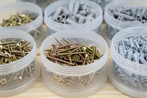 Assorted screws and dowels of various sizes neatly organized in a transparent plastic box container