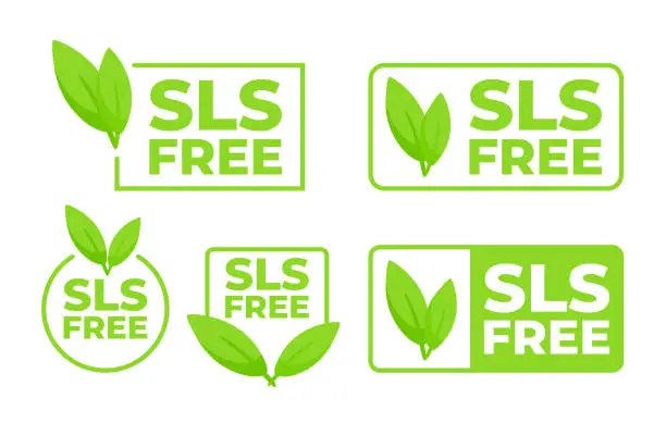 Vector illustration of Set of SLS Free labels with a green leaf, indicating products without sodium lauryl sulfate for health conscious consumers.