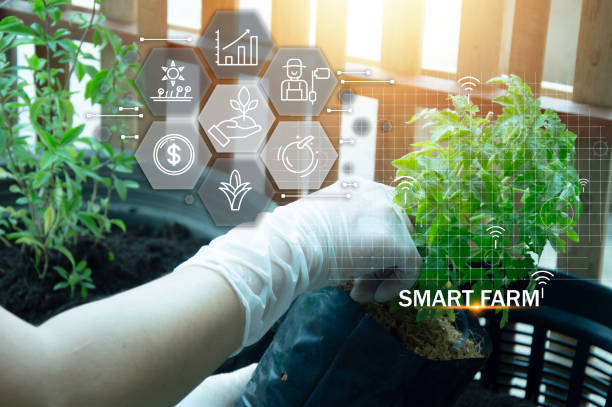 istock The concept of using AI and smart farming 2043026115