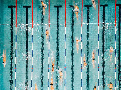 Aerial Top Down View Swimmers Swimming in outdoor olympic-size 50m Swimming Pool. Professional training.