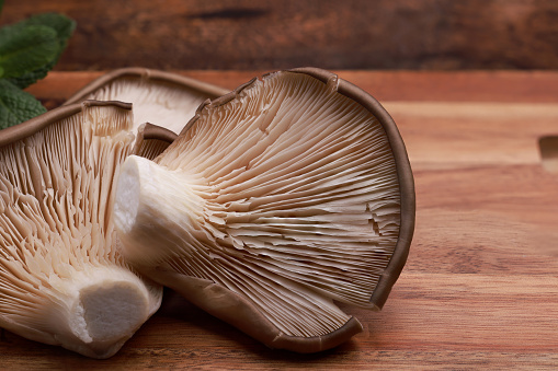 Shiitake mushroom on the White background