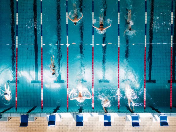 istock Professional young swimmers in a Swimming Pool 2043040759