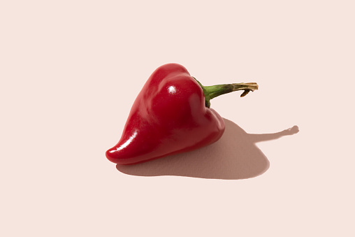 Red hot pepper pod on pale pink background with stiff shadow. Copy space.