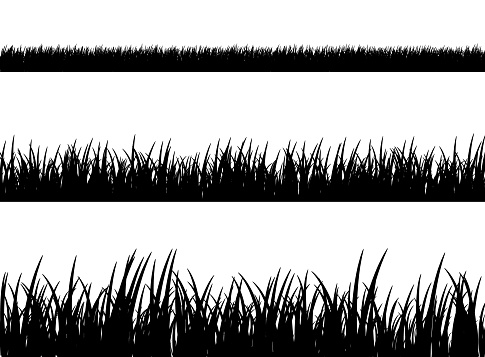 Grass meadow border vector pattern. Spring or summer plant field lawn. Black and white grass background.