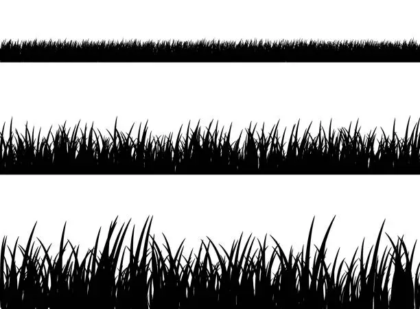 Vector illustration of Grass meadow border vector pattern. Spring or summer plant field lawn. Black and white grass background