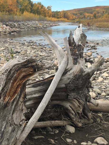 French Beach Provincial Park located along the west coast of Vancouver Island.