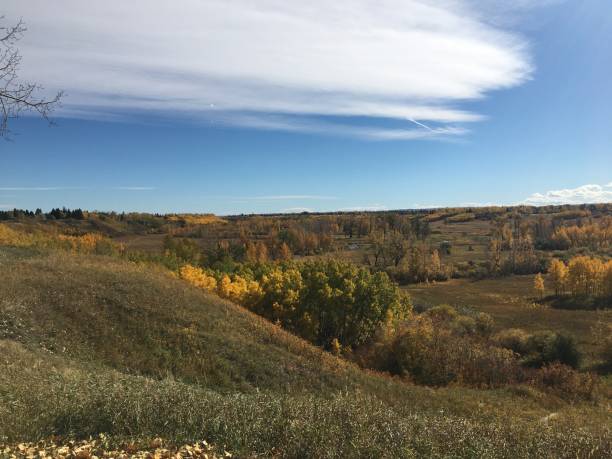 istock Rolling hills of Longview Alberta with fall colours 2043085810
