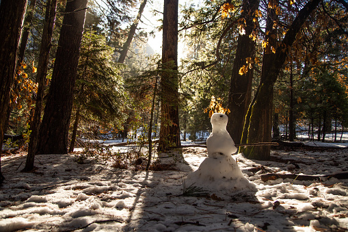 Making a Snowman in Yosemite and the spring time sun is melting it away. Perfect scenery for a holiday photo!