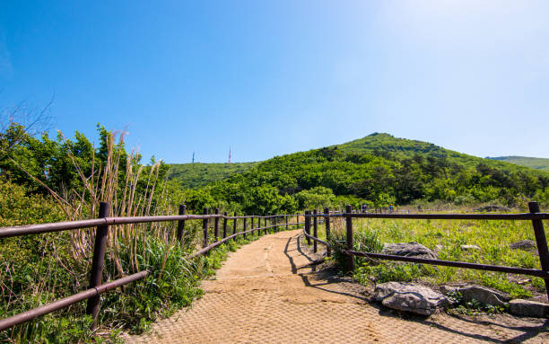 Landscape view of hiking trail in Mount Mudeungsan, Gwangju, South Korea.
