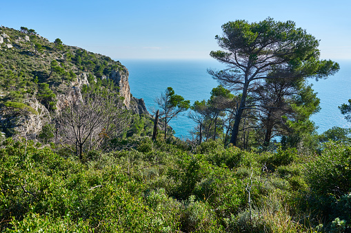 Wild landscape along the Ligurian coastline between Noli and Finale Ligure. Province of Savona. Liguria. Italy.