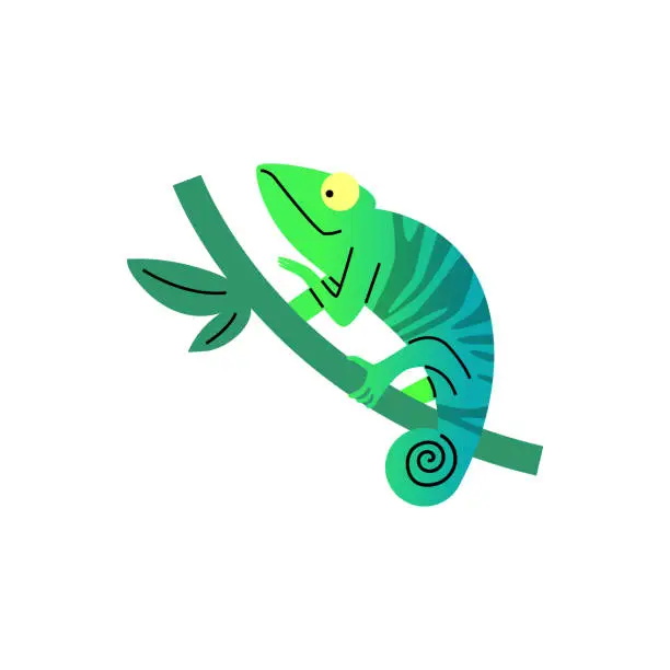 Vector illustration of Green striped chameleon vector illustration