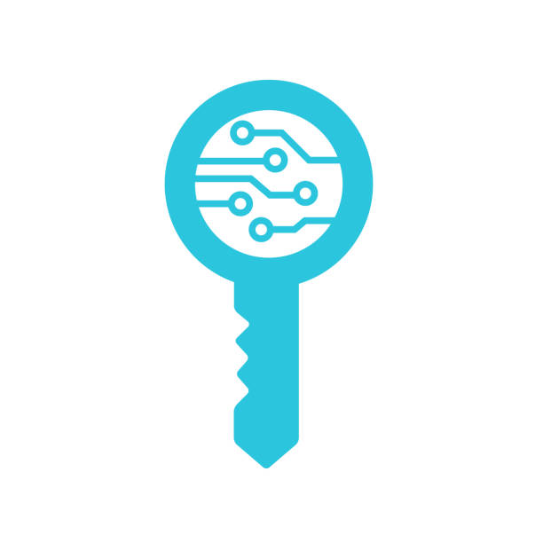 Public key. Security. Access. From blue icon set. vector art illustration