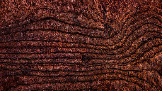 Large circular piece of wood cross section with trunk tree rings texture pattern and cracks, close up