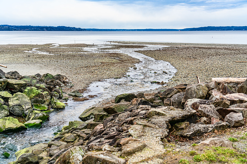 A view of a stream flowing into the Puget Sound at Saltwater State Park in Des Moines, Washington.