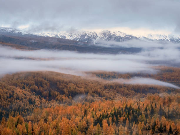 istock snow mountains and forests covered with morning fog 2043257276