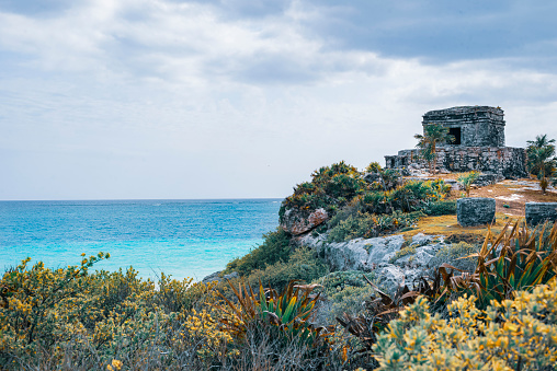 Scenic ocean view with rocks and shrubs on a hill by the sea