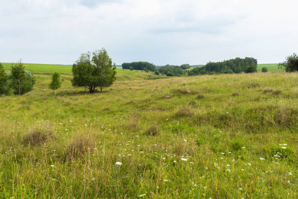 istock Rural landscape on a plain with small ravines in cloudy weather 2043302934