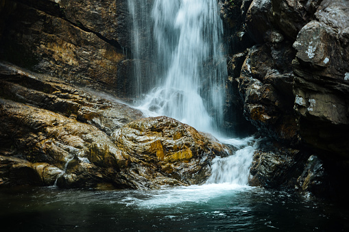 Stone waterfall with a pond surrounded by lush, green bushes and flowers