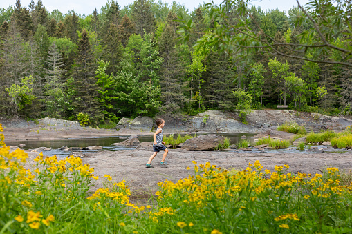 Family exploring the bank of the St. Louis River in northern Minnesota woods. Taken at Jay Cooke State Park.