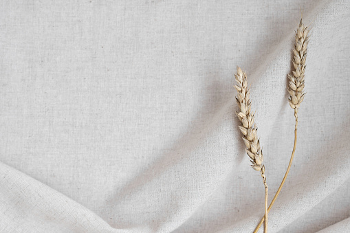 Aesthetic sustainable minimalist background with dried meadow grass spikelets on neutral beige crumpled blurry linen fabric with soft natural shadows. Business brand or wedding design template.