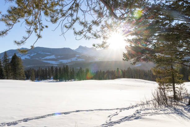 Sunrise light on mountains, forest and meadow in fresh snow