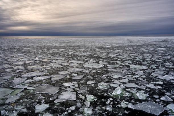 Frozen beach surrounded by ice floes, under cloudy skies