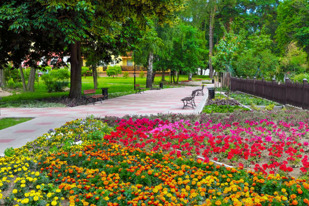 istock A colorful summer park 2043357114
