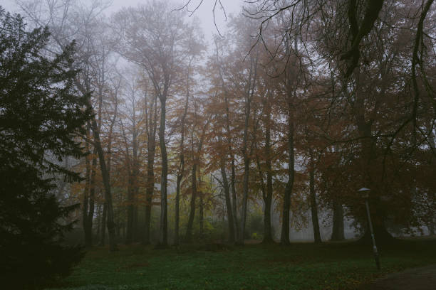 When the fog everywhere, you feel the calm.