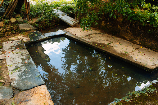 New swimming pool installed in a back yard.