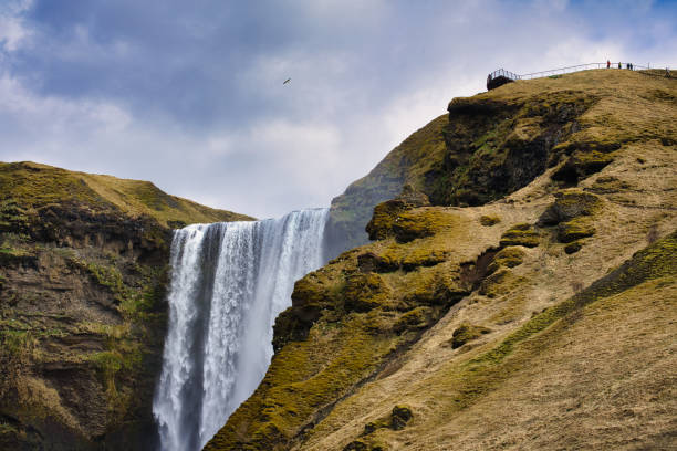 Free waterfalling stock photos. Download the best free waterfalling ...