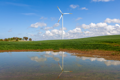 Wind turbines for electric power production and reflection in the pond