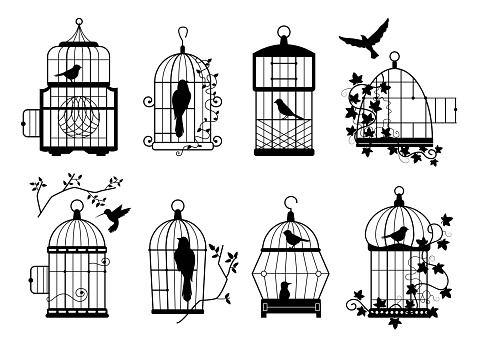 Bird cage silhouettes. Illustration birdcage design, silhouette set vintage, animal with wing, freedom and prison, empty and closed metal captivity vector