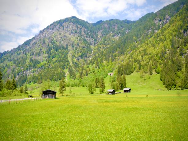 Discover enchanting cottages nestled in the heart of the Alpine splendor, surrounded by lush green mountains. Each quaint retreat offers a cozy haven, harmonizing with nature's breathtaking beauty. A tranquil escape where the charm of cottages meets the majesty of the mountains, creating an idyllic alpine retreat