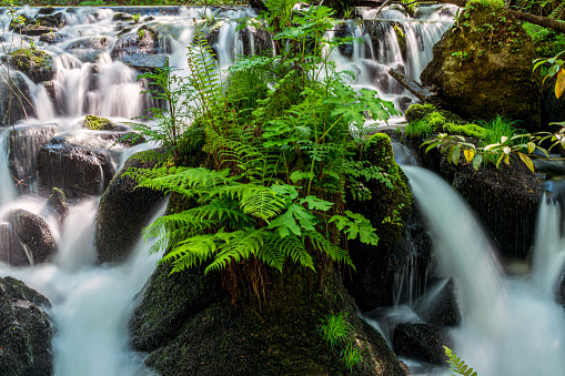 The water of a stream falls gently on the rocks with moss forming small and beautiful waterfalls