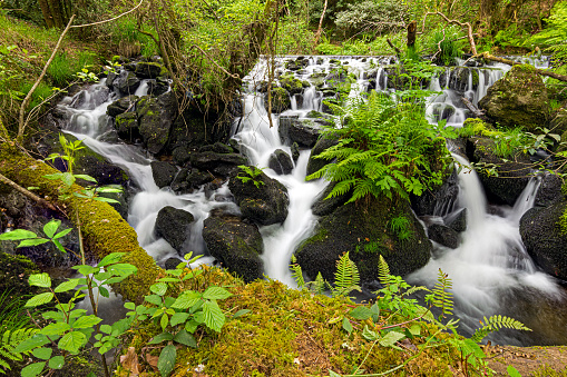 The water of a stream falls gently on the rocks with moss forming small and beautiful waterfalls