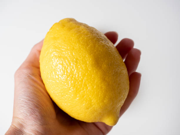 istock Close-up of a hand holding a yellow lemon. White background, side view 2043431230