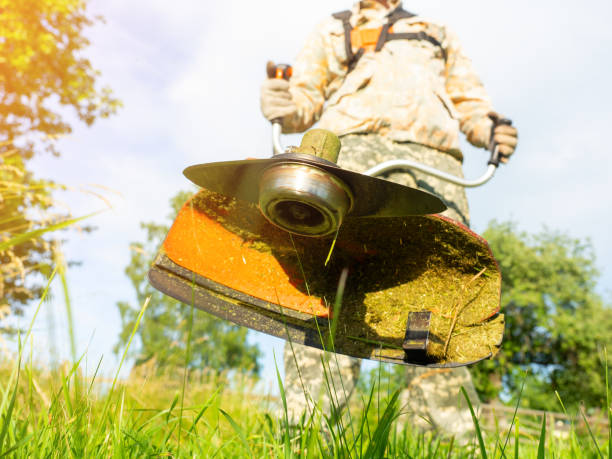 istock A male worker mows the grass with a gasoline trimmer. Bottom view, selective focus on the trimmer blade. 2043438574