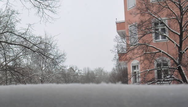 INTERIOR WINTER WINDOW, WITH TREES AND BUILDING AFTER A SNOW STORM