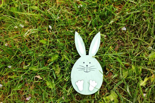rabbit bunny from wood through natural blossom spring flowers or on green grass.crown from small white flowers.cute animal on cherry apple tree branch. happy easter, sunny warm day.