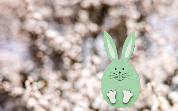 rabbit bunny from wood through natural blossom spring flowers or on green grass.crown from small white flowers.cute animal on cherry apple tree branch. happy easter, sunny warm day.