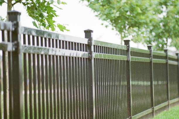 istock An Iron Fence Outdoors in a Park Infront of a Maple Tree 2043487913