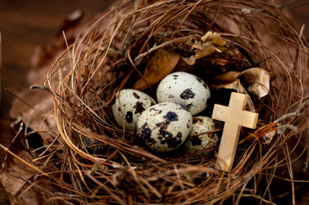 gros plan oeufs de caille dans un nid de paille naturelle avec une petite croix en bois blanc, symbole de pâques - easter egg religion cross spirituality photos et images de collection