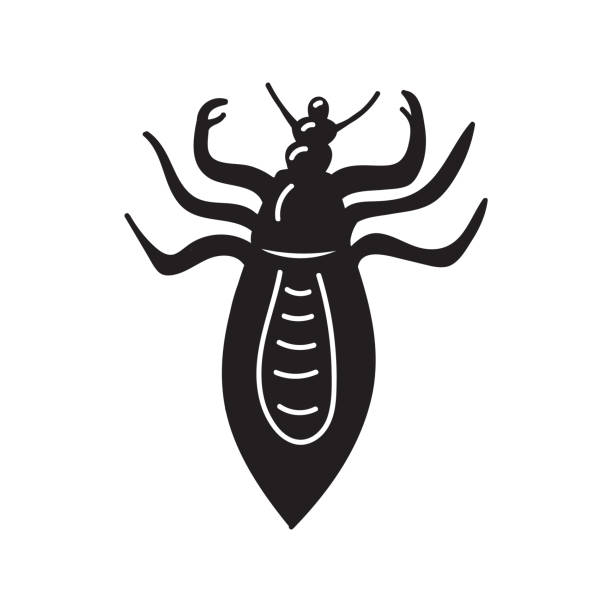 Lice Icon 110+ Lice Treatment Icon Stock Illustrations, Royalty-Free Vector ...