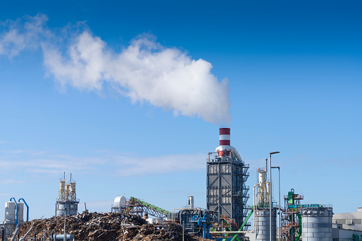 Smoke emissions from the chimney of an industrial plant