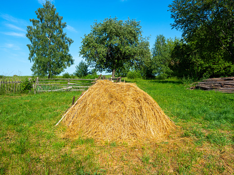 Close-up of a golden stack of mown dry grass. Village, landscape, rural life, Animal feed