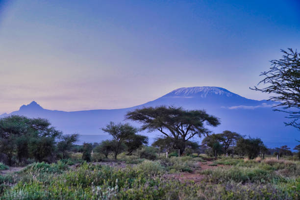 istock Mount Kilimanjaro at Amboseli 2043526709