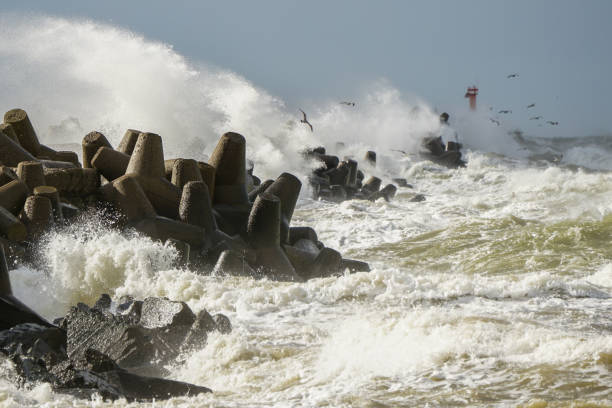 Hurricane scene, a seagull flies over waves and splashes during a coastal storm, selected focus