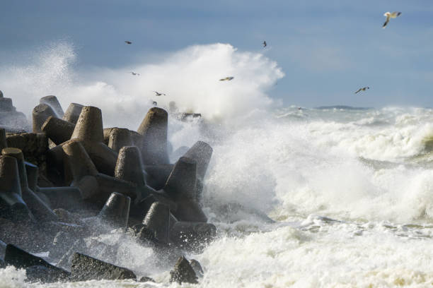 Hurricane scene, a seagull flies over waves and splashes during a coastal storm, selected focus