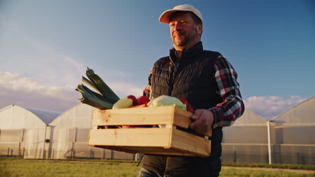 SLO MO Low Angle Handheld Shot of Farmer Carrying Crate Full of Fresh Vegetables with Greenhouse in Background against Blue Sky